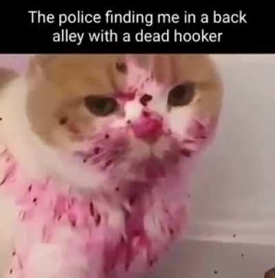 💀