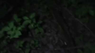 Cursed_3am