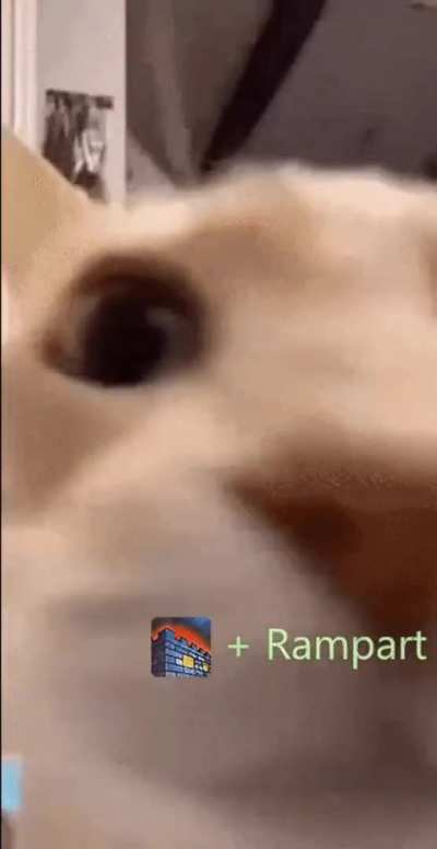 P10S Tank experience