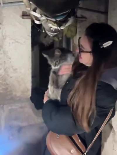 🐈&zwj;⬛ Cat Mia survived a russian strike and waited to be rescued

❤️A small miracle happened in Ternopil. Nine days after russia&rsquo;s brutal attack on a residential building, rescuers finally found cat Mia. Her paw was injured, her fur was burned, she was hung