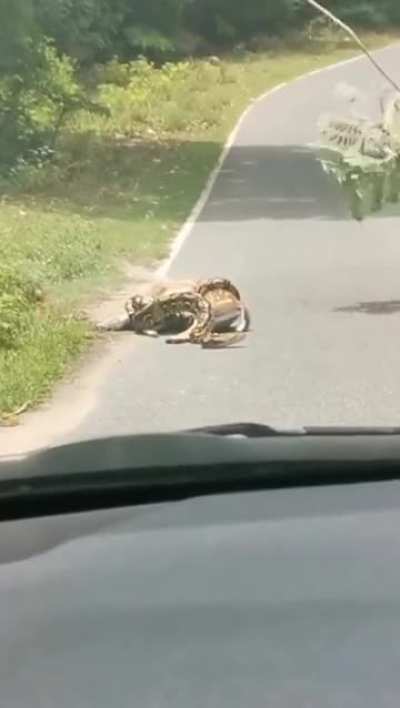 Maybe maybe maybe