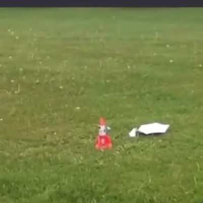 SAVE THE CAAAAAAAAAAAAAAAAAAAAAAAAAAAAAAAAAAAAA-
