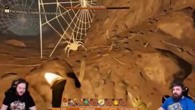 Spider alert!