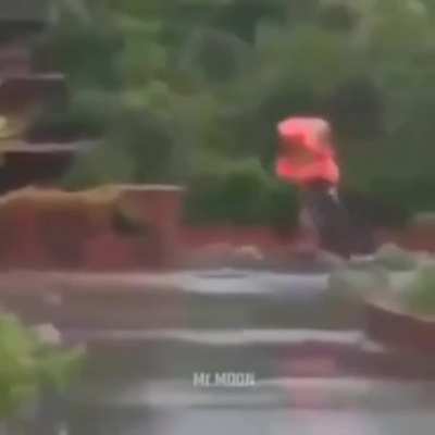 r/yesyesyesno?