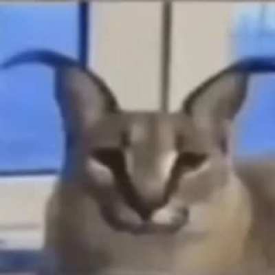 flop (test2)