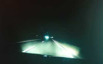 Dim creature decided the perfect time to run out would be directly in front of my car, when I'm the only one in this side of the road.