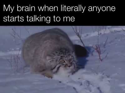 comes back at 1am when I&rsquo;m trying to sleep