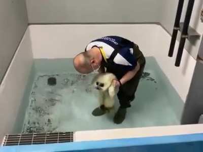 Clam seal