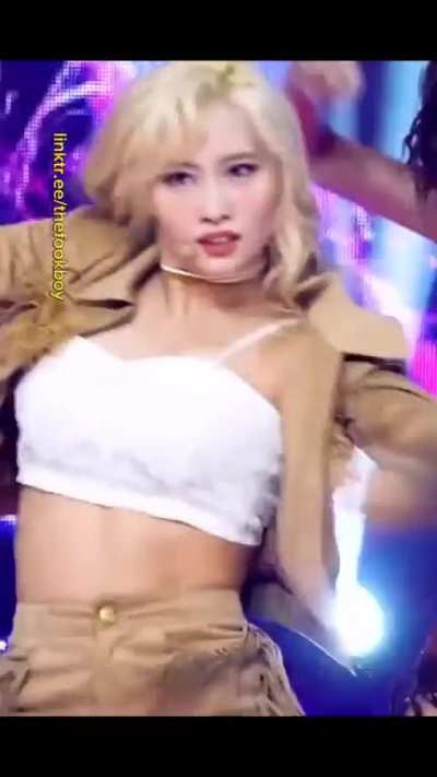Momo v3