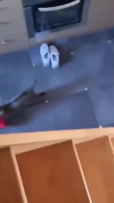 Male stealing bra