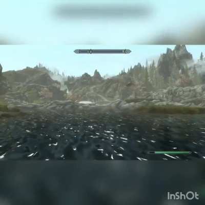 I was playing Skyrim and I noticed this Mudcrab that had somewhere else to be