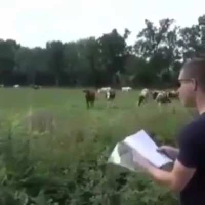The man who talked to cows