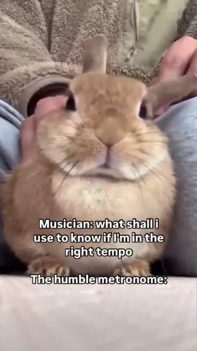 rhythmic bunkus