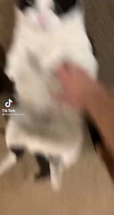 He followed him downstairs