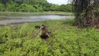 A day fishing out by the river takes an abrupt turn
