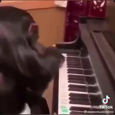 Monke
