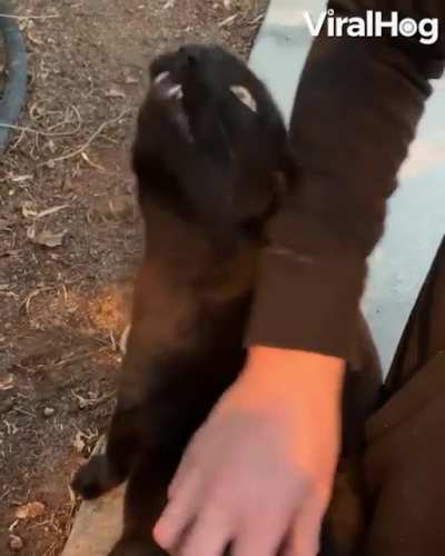 Major malfunction