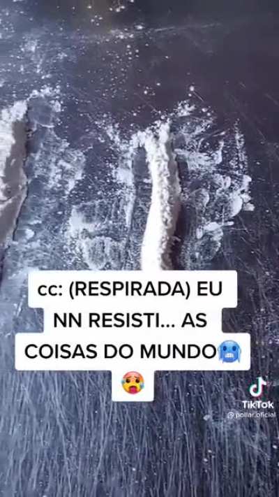 S&oacute; Bora LesGO