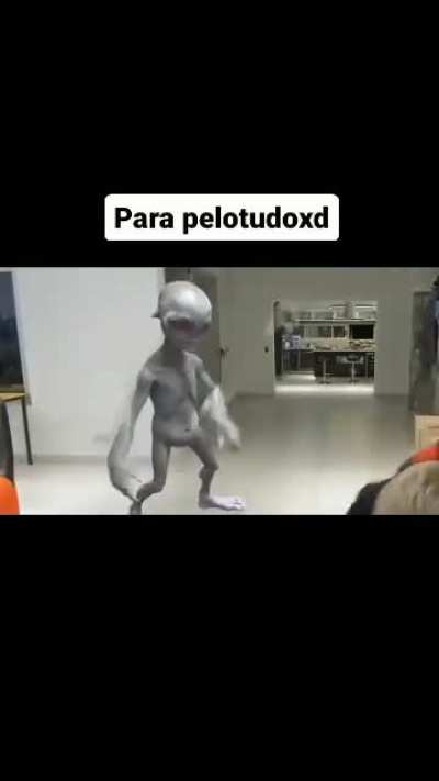 Pero momo