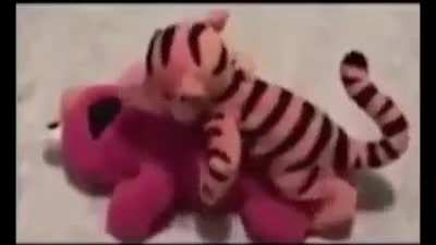 AAAA