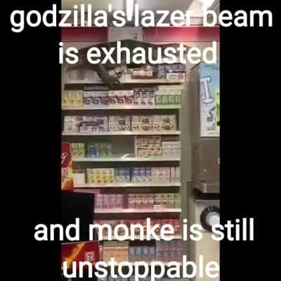 Monke will win!!