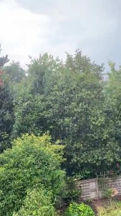 Summer showers ☔️ South West England