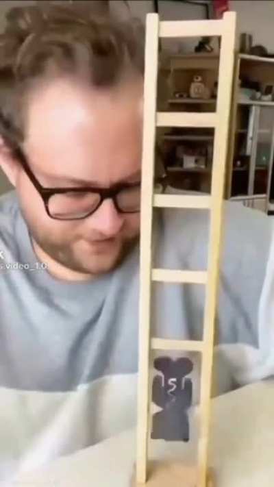 magic cat