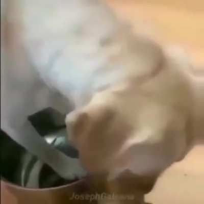 NOOOOOO