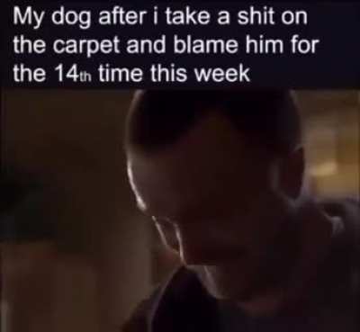 dog