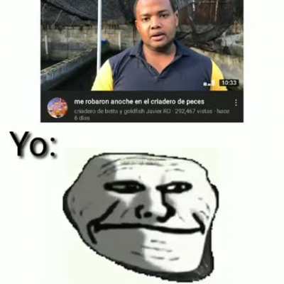 Noooo D: