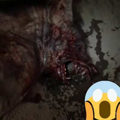 سلام اکس ارمی❤ نظرتون چیه😱