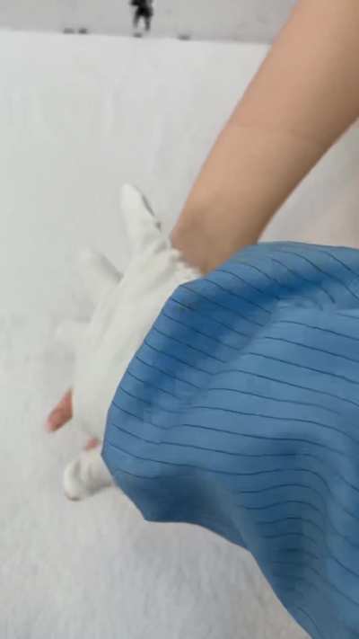 Tammy Big Tits GIF by jigglybaby888