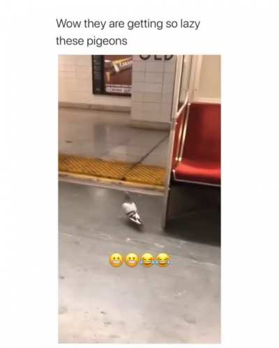 This is my stop...