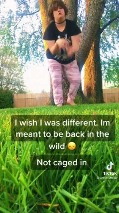 Where&rsquo;s my tranquilizer