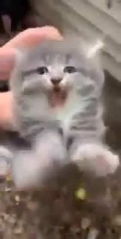 Awww he&rsquo;s not happy.
