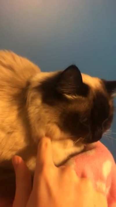 loooong poke