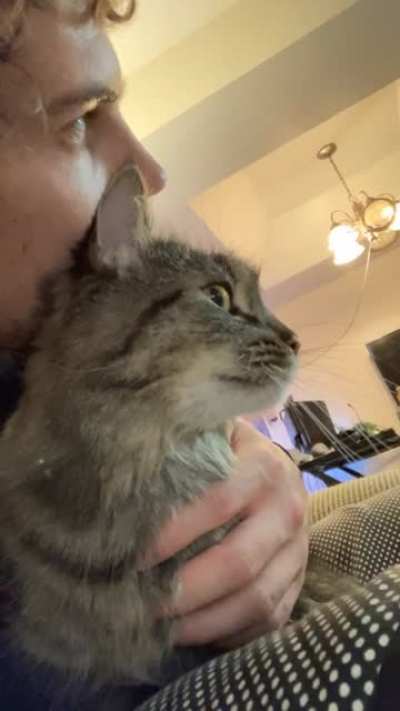 It was snuggle time and Missy spotted a wild one. Didn&rsquo;t stop us though.