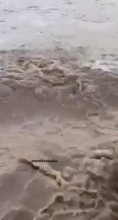 A sad turn of events.