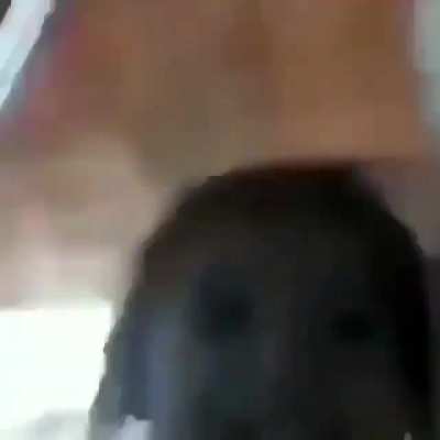 Jaja meme
