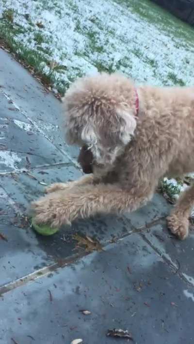 His ball froze to the ground and he didn&rsquo;t understand why he couldn&rsquo;t grab it