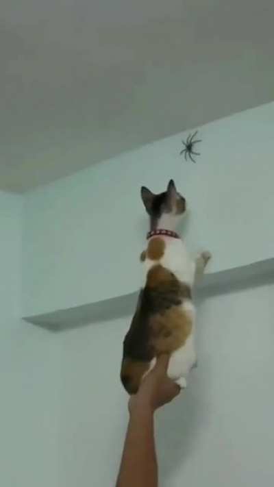 He got it!