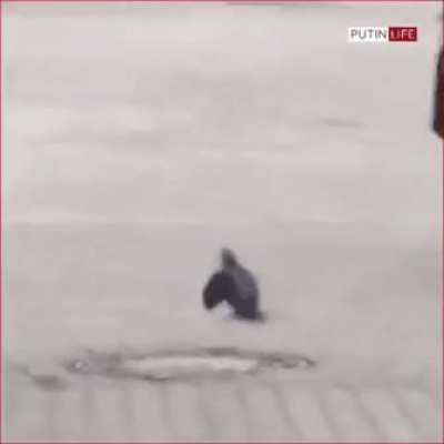 Meanwhile in Russia