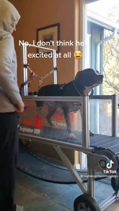 I wish I got this excited to exercise