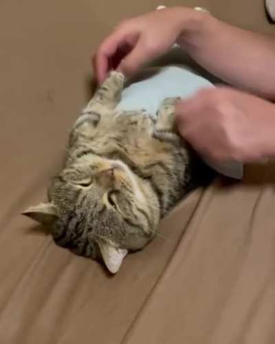 Getting tucked in