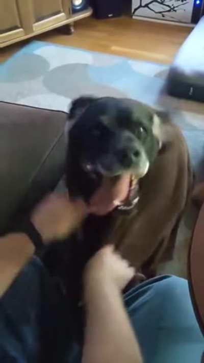Derp dry
