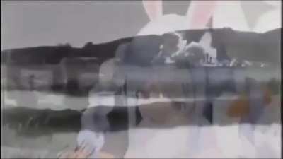 The Pacific War in the eyes of a rabbit peko.