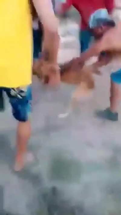 Another normal day in Brazil.