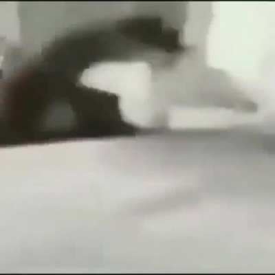 hehe boi