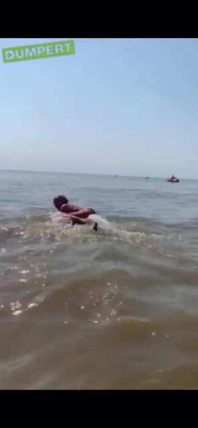 A dolphin got lost and ended up in shallow waters in Zandvoort, The Netherlands. While people try to guide the animal back to deeper water, a trashy woman proceeds to climb on top of it