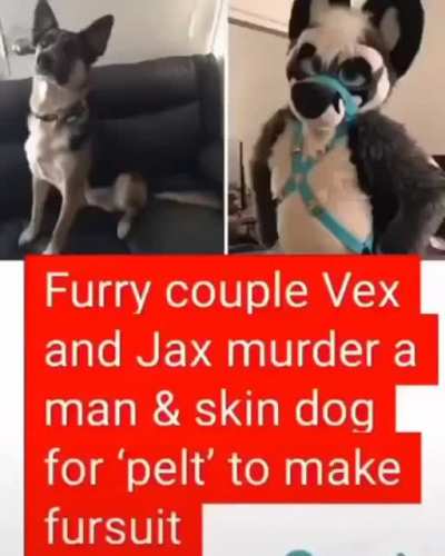 Fuck Furries and Fuck TikTok